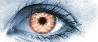 [Nmap logo]